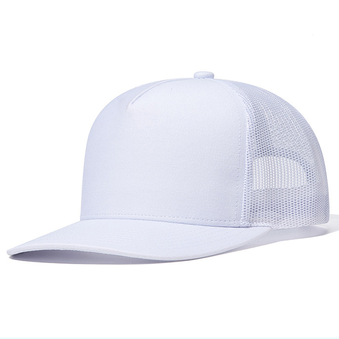 E230627 (5 panels)